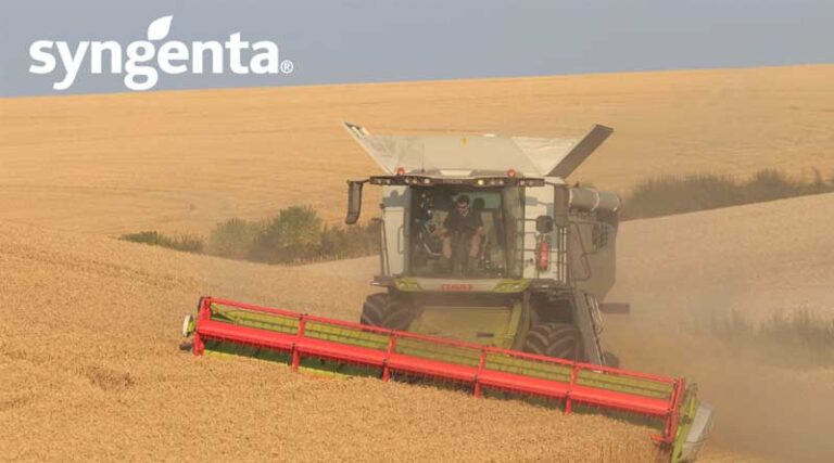 SY INSITOR: Exceptional 2024 Performance in the North