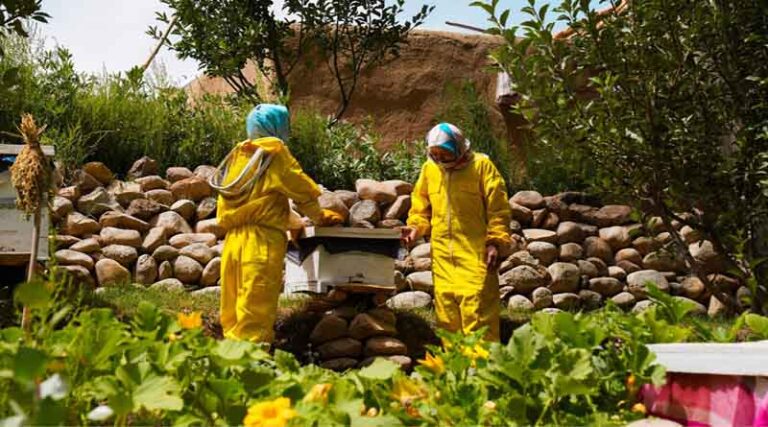 FAO Leads New Initiative and Reinforces Its Commitment to Accelerate Gender Equality Efforts in Agrifood Systems