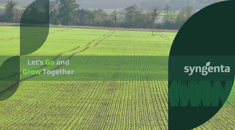 Winter Malting Barley: Variety Options for This Autumn