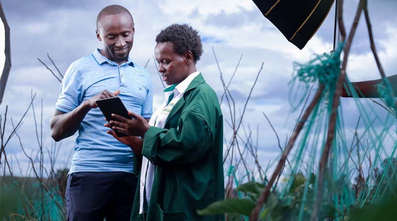 Unlocking the power of data: CABI’s collaborative effort with the Bill & Melinda Gates Foundation for CGIAR