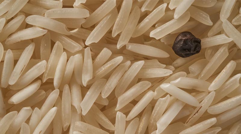 KRBL Limited Announces Precautionary Recall of India Gate Basmati Rice Due to Pesticide Non-Compliance