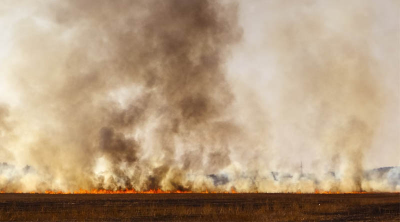 Punjab Faces Stubble Burning Challenge as Incidents Rise