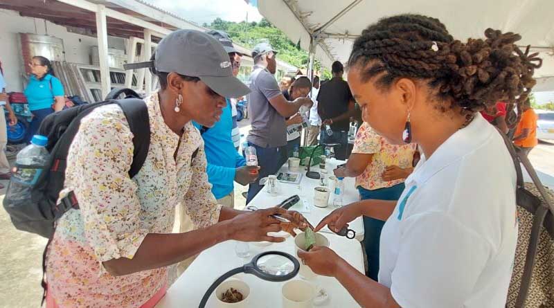 Advancing Pest Management in Grenada Through Plantwiseplus Biological Control Training
