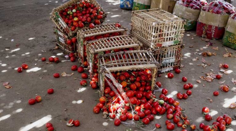 Tackling Food Loss and Waste From the Farm to the Table and Beyond