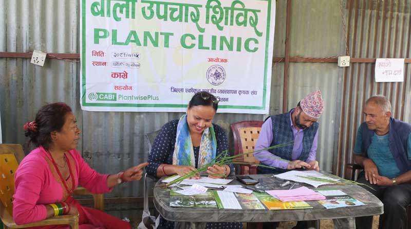 Mobile Plant Clinics in Nepal: Delivering Vital Crop Health Advice to Rural Farmers