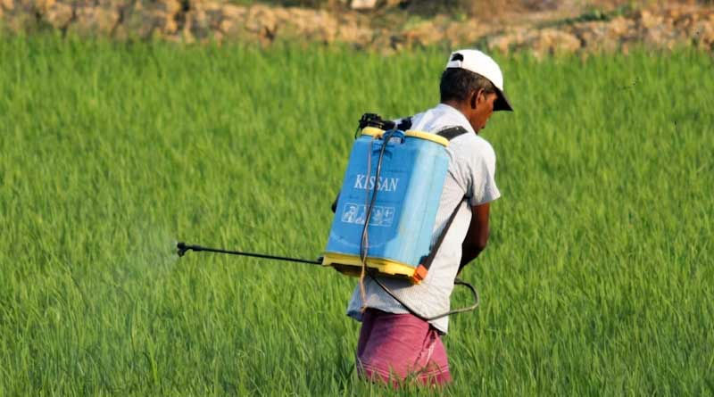 Farmers in Madhya Pradesh Protest for Higher Soybean MSP Amid Rising Costs and Stagnant Yields