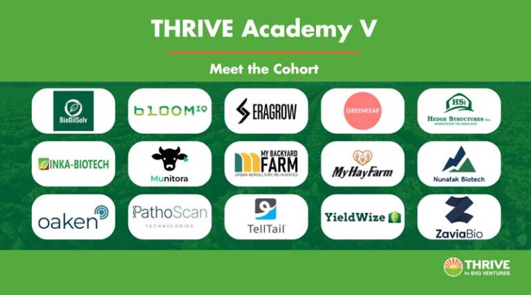 SVG Ventures | THRIVE Announces Academy V Cohort!
