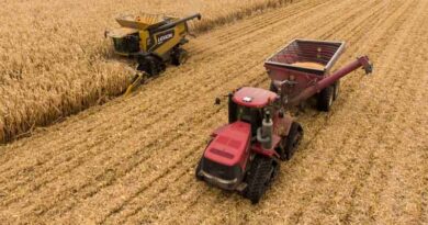 Brazil’s Agriculture Ministry Approves 328 New Pesticide Registrations in 2024