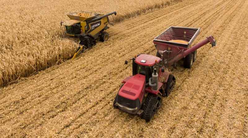 Brazil’s Agriculture Ministry Approves 328 New Pesticide Registrations in 2024