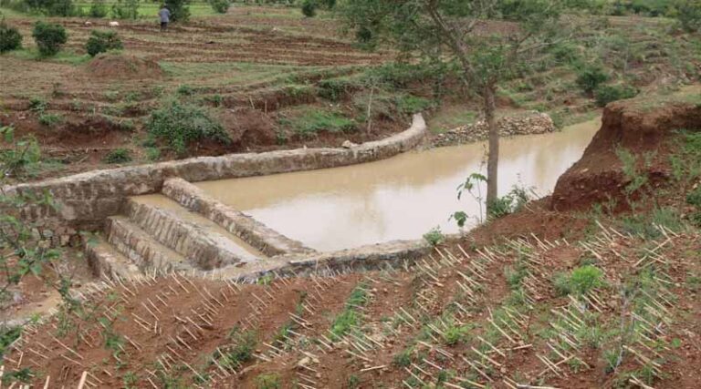 Building Resilience in Tigray: How CSA is Pioneering Sustainable Agriculture in Ethiopia
