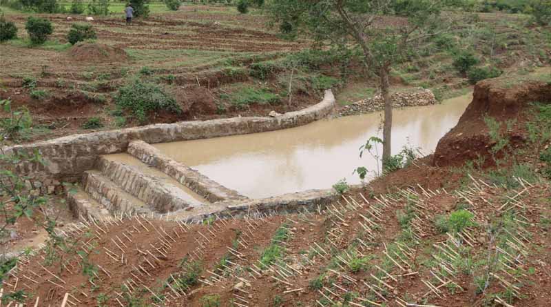 Building Resilience in Tigray: How CSA is Pioneering Sustainable Agriculture in Ethiopia