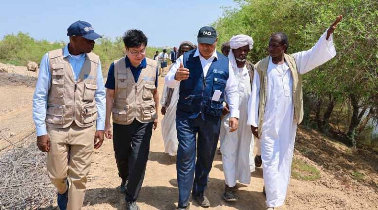 Sudan: Conflict, Access Constraints and Floods Undermine FAO Efforts to Support Agriculture and Food Security