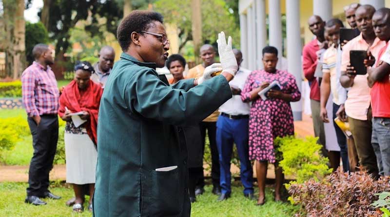 Workshop Outlines Plan to Increase Fight the Devastating Papaya Mealybug Pest in More Locations Across Uganda