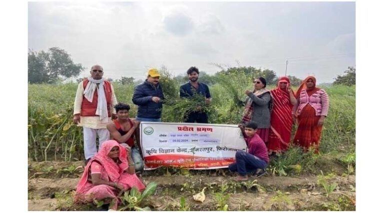 Success Story of CFLD on Oilseed (2024-25)