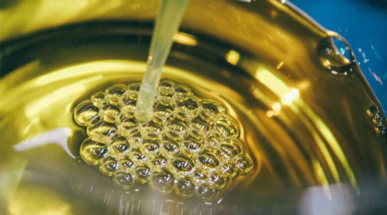 Government Raises Customs Duty, Clearing Path for Soybean Price Hike