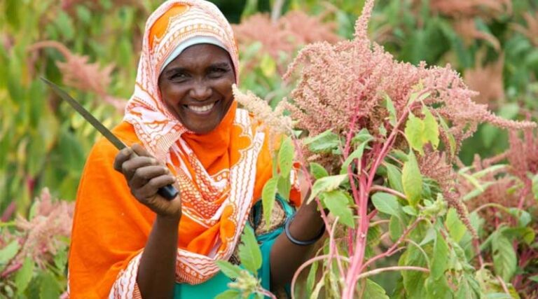 Empowering Women in Zanzibar: the Transformative Impact of Amaranth Farming