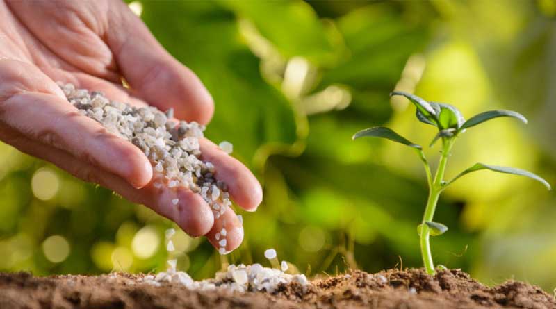 Feeding the Planet: Celebrating Global Fertilizer Day!
