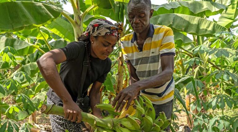 Building Bridges to Entrepreneurship in Ghana and Nigeria