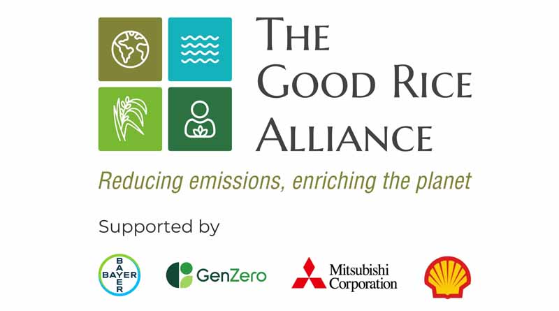 Bayer, GenZero, Shell, and Mitsubishi Aim to Positively Impact Rice Farmers in India Through the Good Rice Alliance