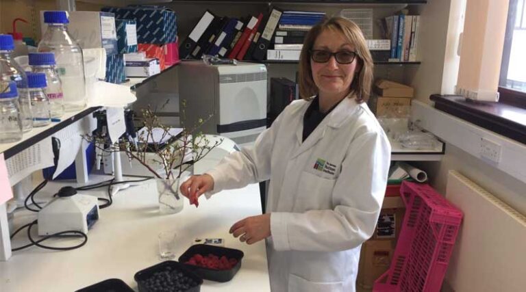 Hutton Awarded £1M to Revitalise UK’s Raspberry Industry