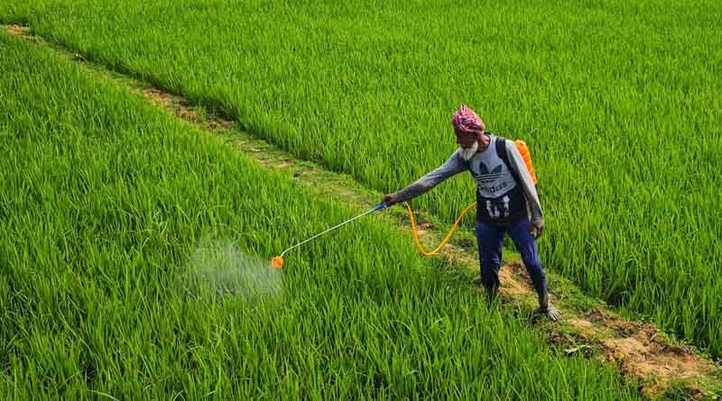 Major Pest and Disease Trends in Indian Agriculture: 2015-16 to 2023-24