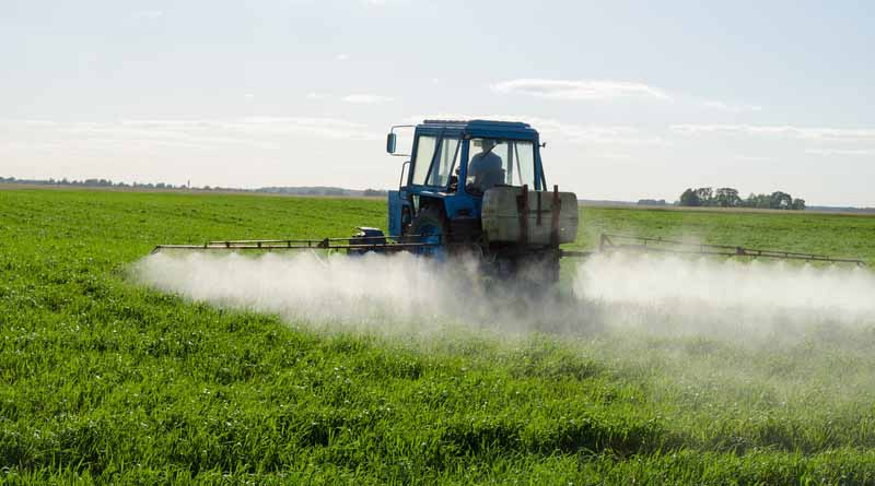 Victory! EPA Ends Decades of Inaction on Assessing Endocrine-Disrupting Harms of Pesticides Pursuant to Legal Settlement With Farmworker and Environmental Health Groups