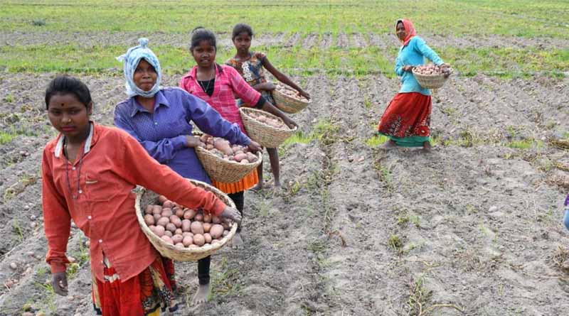 Reach, Benefit, Empower, Transform: Approaches To Helping Rural Women Secure Their Resource Rights