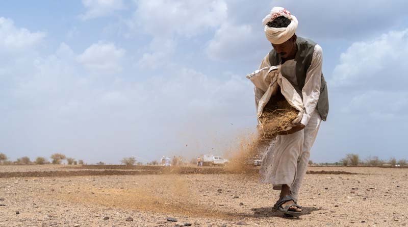 Helping Herders Access Grazing Lands And Water Sources Amid Prevailing Food Insecurity In Sudan