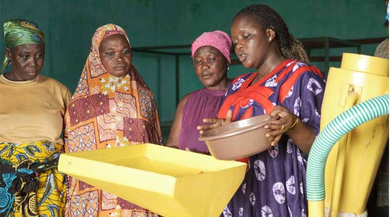 Cultivating Fonio, Cultivating Traditions