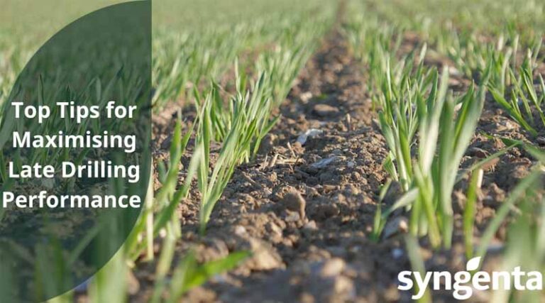 Top Tips for Maximising Late Drilling Performance