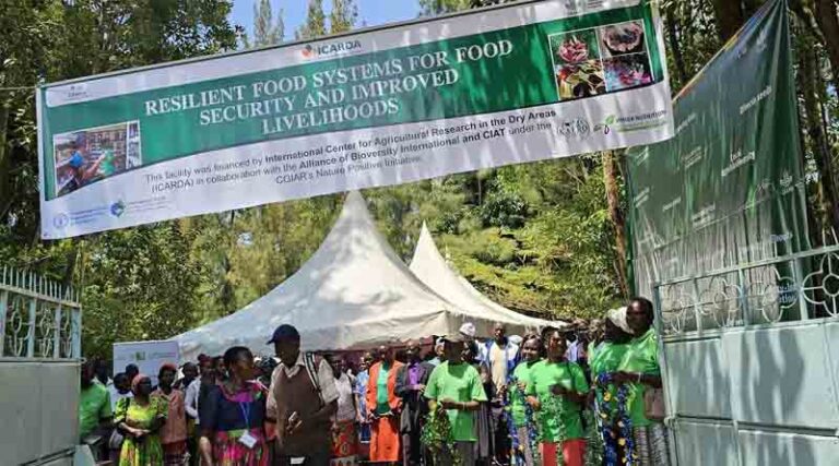 Building Nature-Positive Seed Systems for Community Seed Banks in Kenya and India