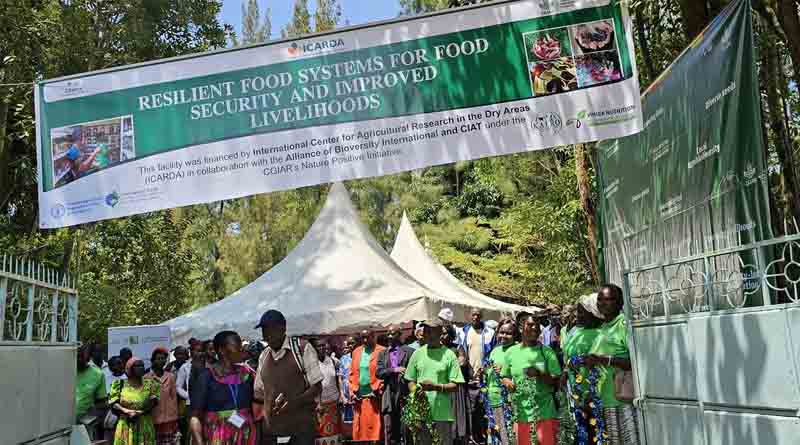 Building Nature-Positive Seed Systems for Community Seed Banks in Kenya and India