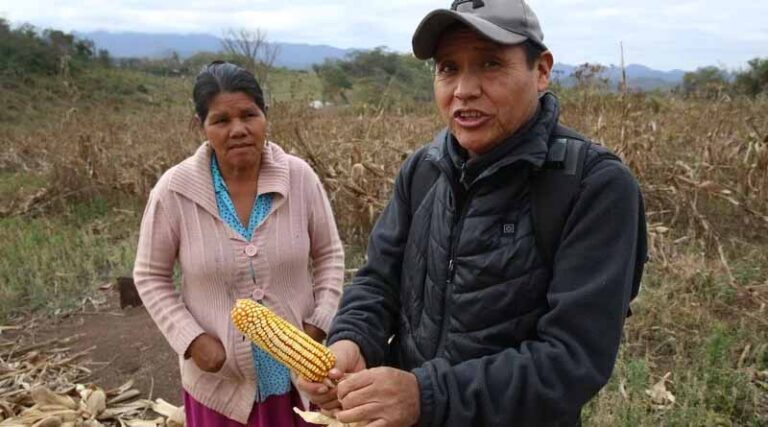 400-Year-Old Bolivian Newcomer Ships Seeds to Svalbard