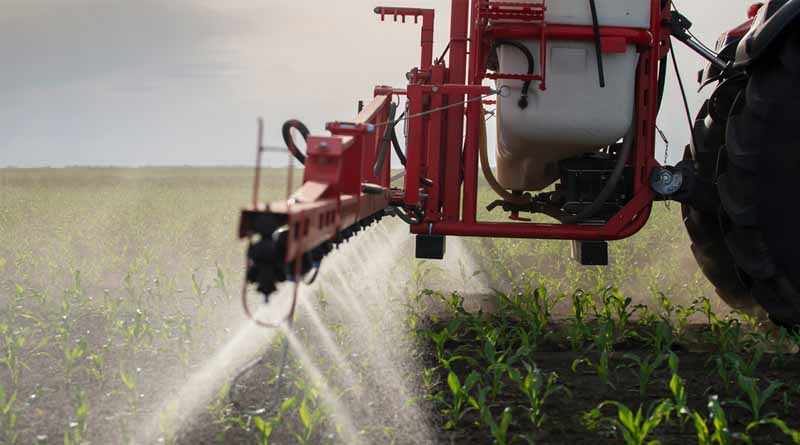 Study: EPA Set to Greenlight Widely Used Neonicotinoid Pesticides, Overlooking Evidence of Harms to Brain, Nervous System