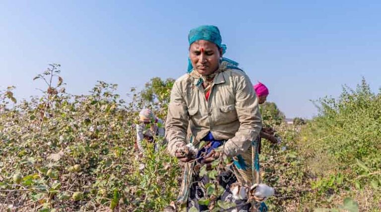 Russian Producers Ready to Increase Fertilizer Supplies to India