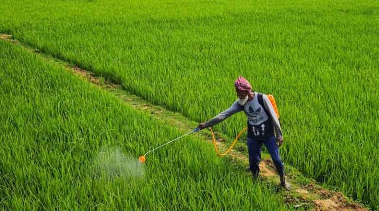 Complete List of Pesticides Banned in India: Latest Government Update 2024