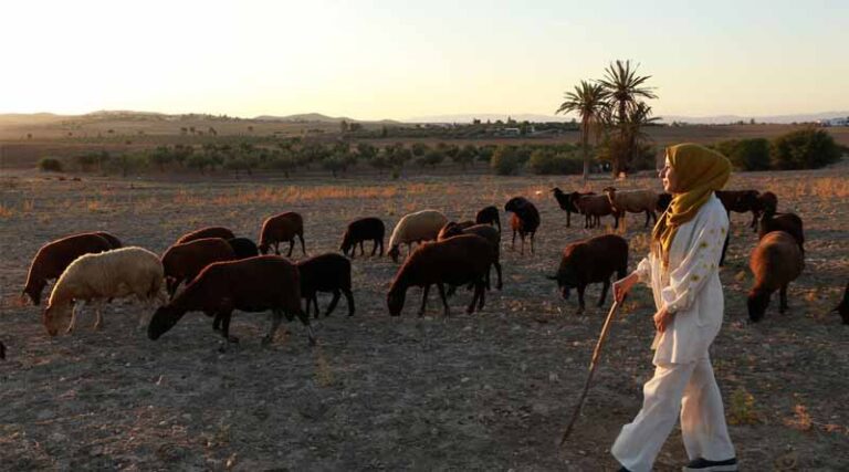 FAO to Co-implement 21 New Projects With $109 Million In Second Round Of Pandemic Fund Financing