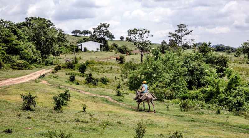 At UN Biodiversity COP16, FAO Steers Countries To Find Solutions In Agrifood Systems