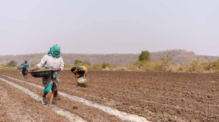Ministry of Chemicals and Fertilizers Dismisses Claims of Shortage of DAP; MRP Maintained at ₹1350