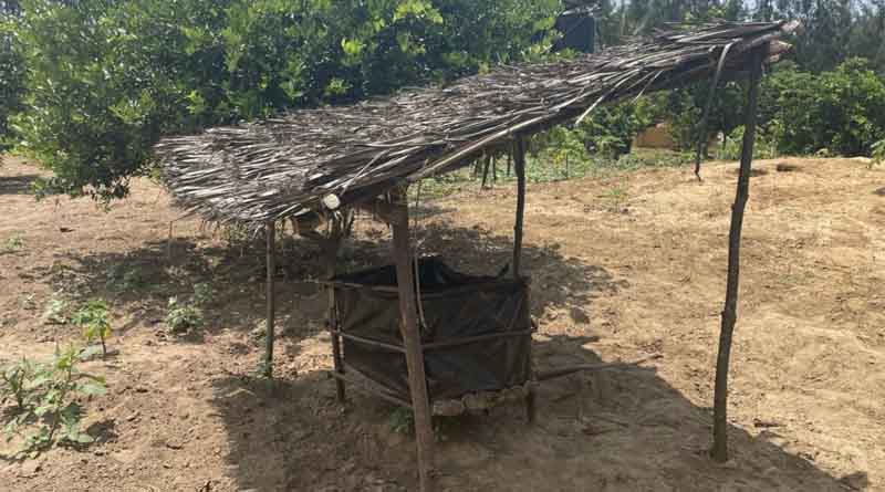 What Are Natural Enemies Field Reservoirs, And How Do They Help Farmers Control Crop Pests?