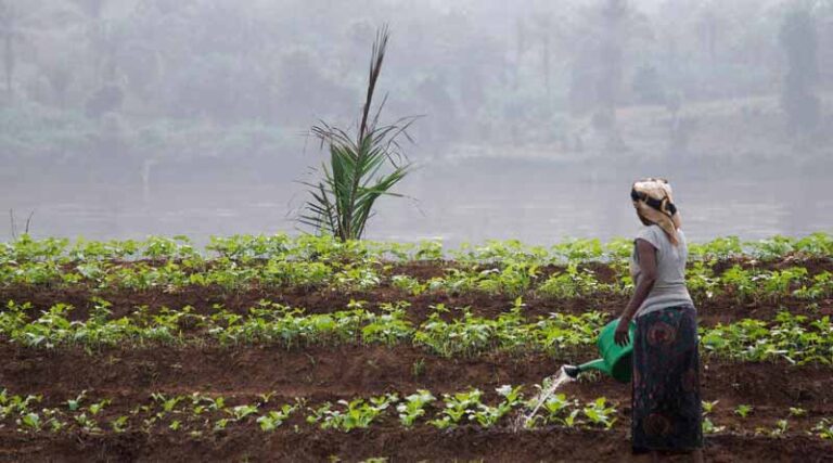 Democratic Republic Of The Congo: FAO Sounds Alarm Over Persisting High Levels Of Hunger
