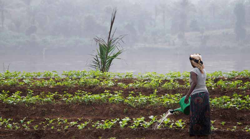 Democratic Republic Of The Congo: FAO Sounds Alarm Over Persisting High Levels Of Hunger