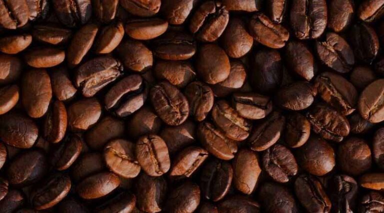 Driving Landscape Restoration and Carbon Finance through Coffee : ECOTRUST’s Partnership with UCCP