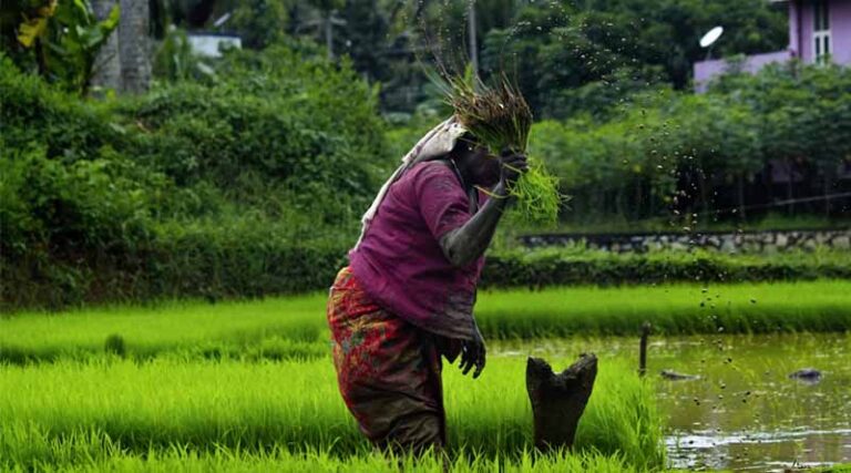 Cabinet Approves Splitting Of Centrally Sponsored Agriculture Schemes Into Two Umbrella Schemes With An Outlay Of 1 Lakh Crore