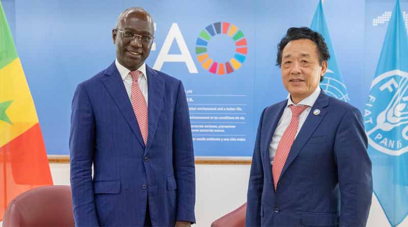Bilateral meeting with H.E. Mabouba Diagne, Minister for Agriculture, Food Sovereignty and Livestock of the Republic of Senegal
