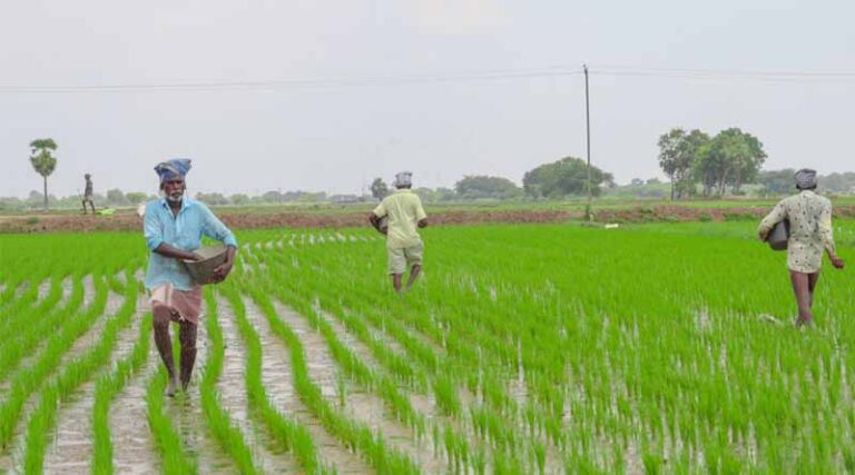 Krishonnati Yojana (KY): Enhancing Food Security and Agricultural Self-Sufficiency