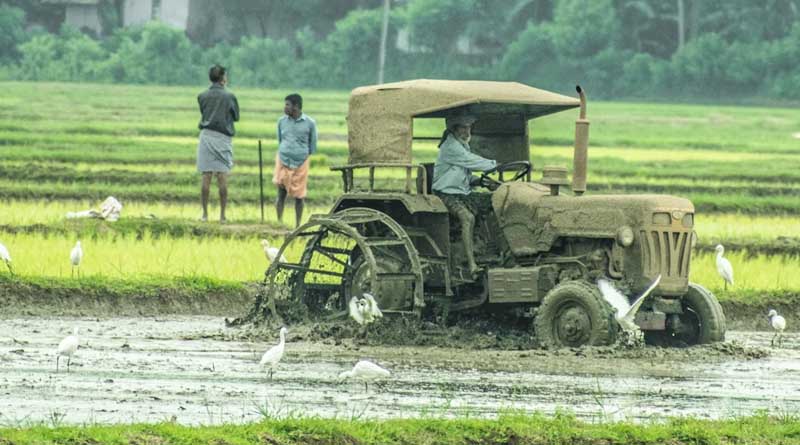 Krishonnati Yojana (KY): Ensuring Agricultural Prosperity and Food Security
