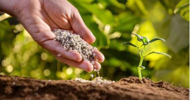 Agriculture Micronutrients Market Expected to Reach US$ 13,292.1 Million by 2033