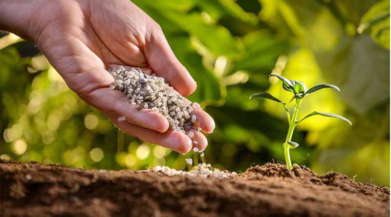 Agriculture Micronutrients Market Expected to Reach US$ 13,292.1 Million by 2033