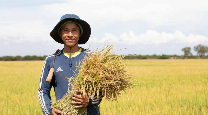 FAO Food Price Index rises in September